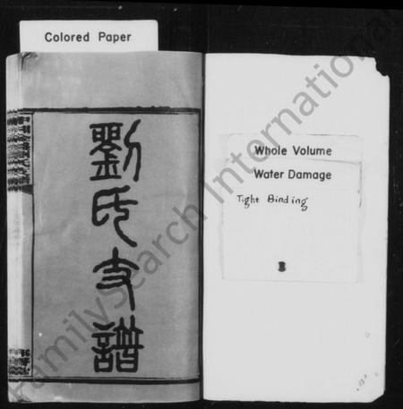 湖南刘氏族谱-刘氏支谱 [17卷].pdf电子版插图2