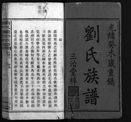 湖南刘氏族谱-刘氏续修族谱 [14卷,首2卷].pdf电子版插图2