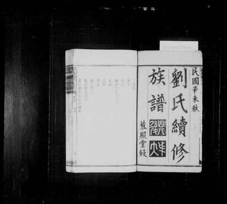 湖南刘氏族谱-刘氏续修族谱 [9卷,及卷首].pdf电子版插图2