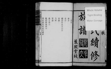 湖南刘氏族谱-刘氏续修族谱 [9卷,及卷首].pdf电子版插图3