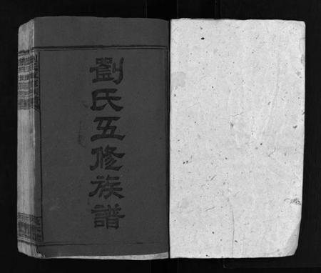 湖南刘氏族谱-洪桥刘氏族谱 [19卷,首1卷].pdf电子版插图2