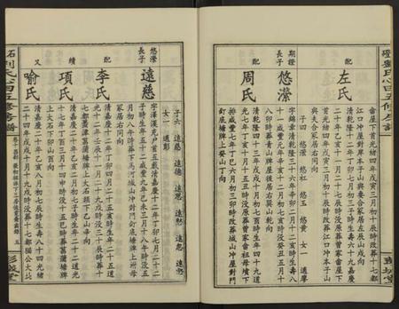 湖南刘氏族谱-石磴刘氏心田房谱 [10卷].pdf电子版插图5