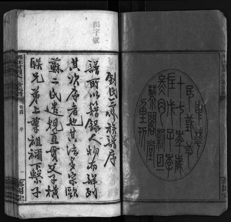 湖南刘氏族谱-社村刘氏三修族谱 [10卷,首末各1卷].pdf电子版插图3