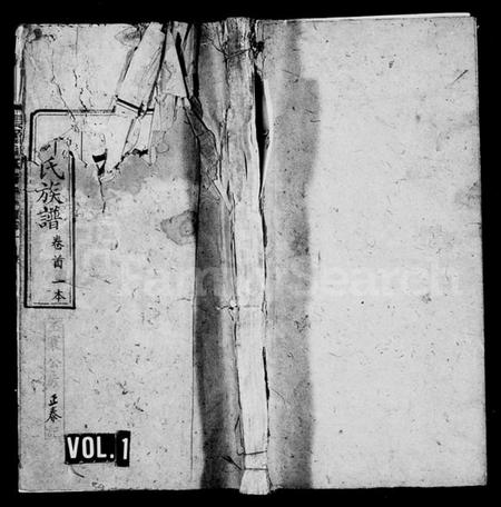 湖南柳氏族谱-柳氏族谱 [27卷,首3卷,末1卷].pdf电子版插图1