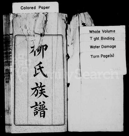 湖南柳氏族谱-柳氏族谱 [27卷,首3卷,末1卷].pdf电子版插图2