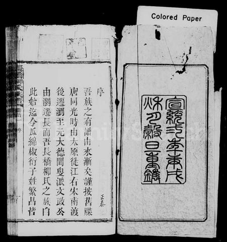 湖南柳氏族谱-柳氏族谱 [27卷,首3卷,末1卷].pdf电子版插图3