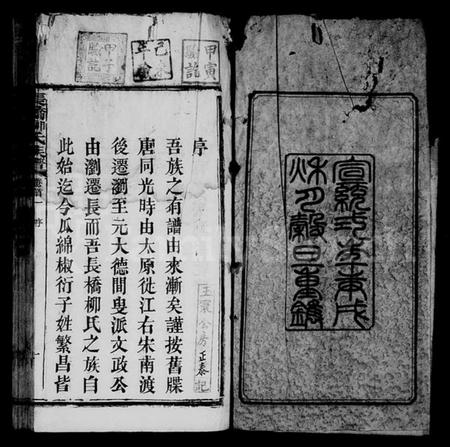 湖南柳氏族谱-柳氏族谱 [27卷,首3卷,末1卷].pdf电子版插图5