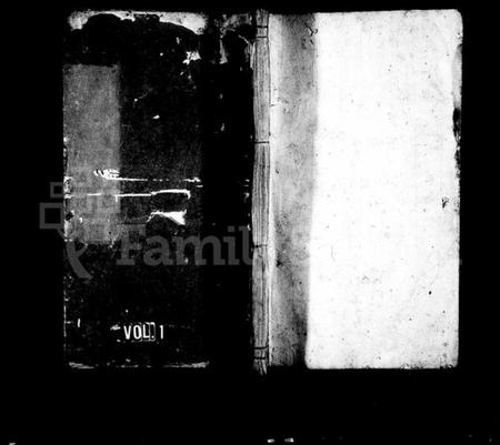 湖南柳氏族谱-柳氏族谱 [不分卷].pdf电子版插图1