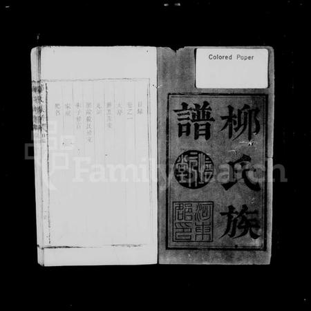 湖南柳氏族谱-柳氏族谱 [不分卷].pdf电子版插图2