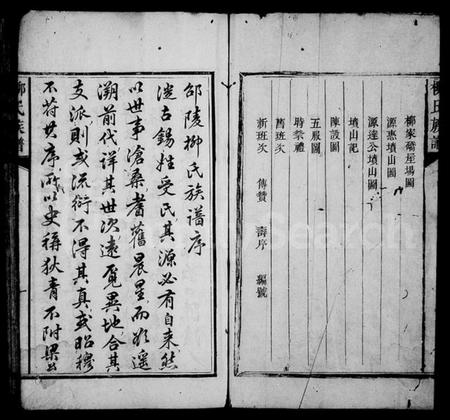 湖南柳氏族谱-柳氏族谱 [不分卷].pdf电子版插图4