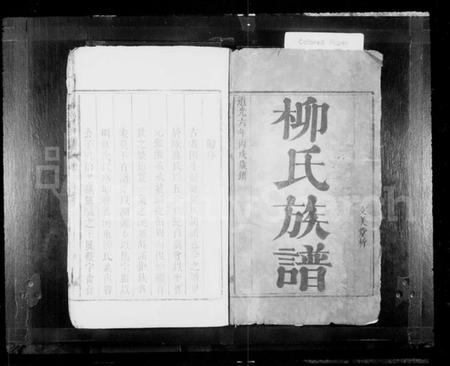 湖南柳氏族谱-柳氏重修族谱.pdf电子版插图1