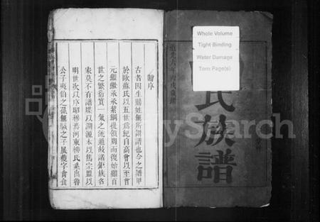 湖南柳氏族谱-柳氏重修族谱.pdf电子版插图2