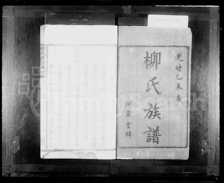 湖南柳氏族谱-柳氏重修族谱.pdf电子版插图2