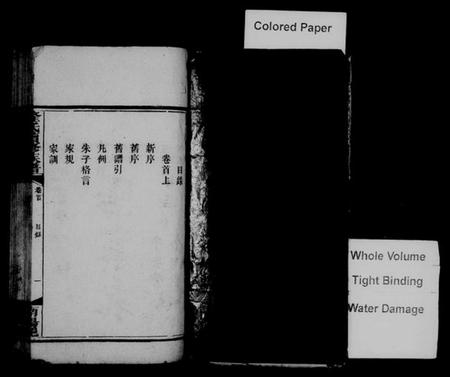 湖南隆氏族谱-隆氏续修族谱 [17卷,首2卷].pdf电子版插图2