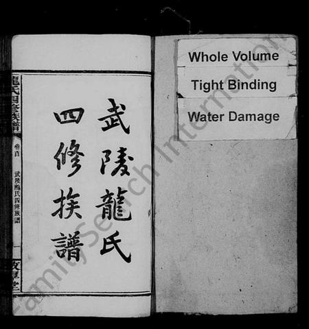 湖南龙氏族谱-武陵龙氏四修族谱 [13卷,首1卷].pdf电子版插图2