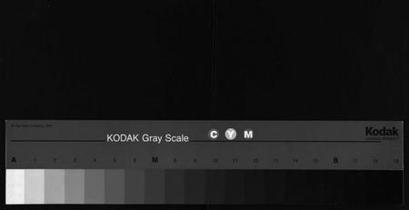 江西黄氏族谱-黄氏六修族谱[12卷,首4卷].pdf电子版