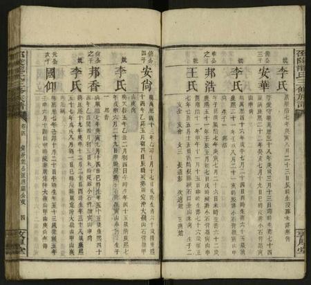 湖南龙氏族谱-邵陵龙氏三修族谱 [残卷].pdf电子版插图3