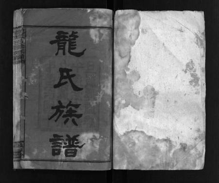 湖南龙氏族谱-龙氏五修族谱 [12卷,首1卷].pdf电子版插图2