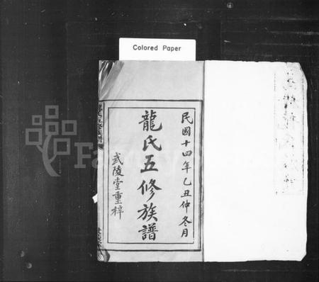 湖南龙氏族谱-龙氏五修族谱 [37卷].pdf电子版插图2