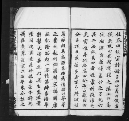 湖南龙氏族谱-龙氏五修族谱 [37卷].pdf电子版插图4