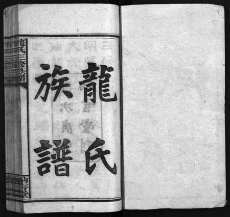 湖南龙氏族谱-龙纳言堂族谱 [22卷,首1卷,附2卷].pdf电子版插图2