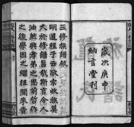 湖南龙氏族谱-龙纳言堂族谱 [22卷,首1卷,附2卷].pdf电子版插图3