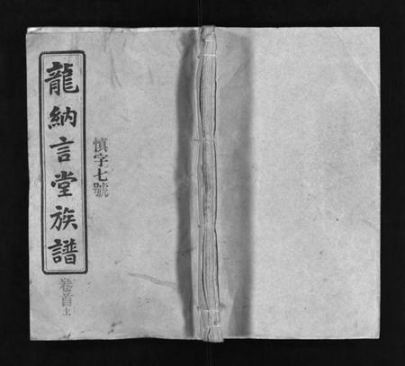 湖南龙氏族谱-龙纳言堂族谱 [22卷,首2卷].pdf电子版插图1