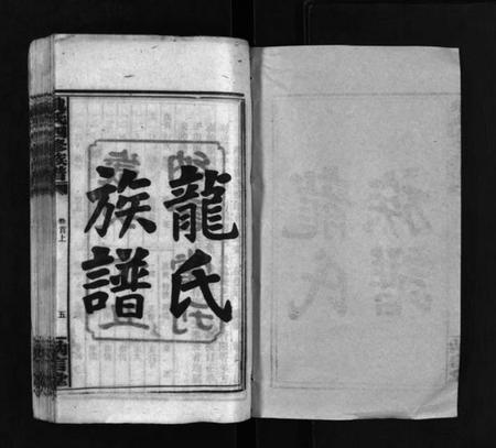 湖南龙氏族谱-龙纳言堂族谱 [22卷,首2卷].pdf电子版插图2