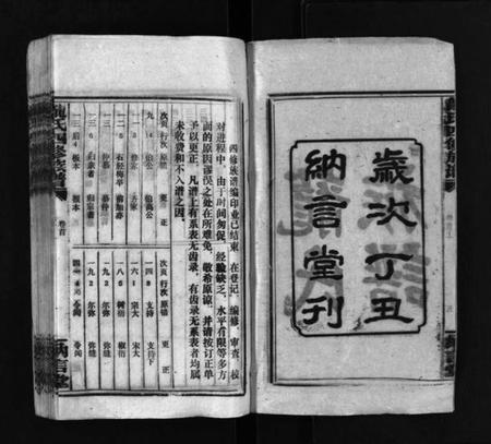 湖南龙氏族谱-龙纳言堂族谱 [22卷,首2卷].pdf电子版插图3