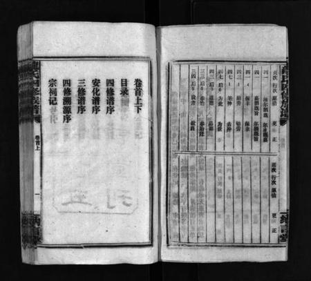 湖南龙氏族谱-龙纳言堂族谱 [22卷,首2卷].pdf电子版插图4