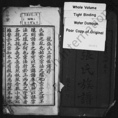 湖南龙张氏族谱-龙张氏族谱 [8卷,首未各1卷].pdf电子版插图3