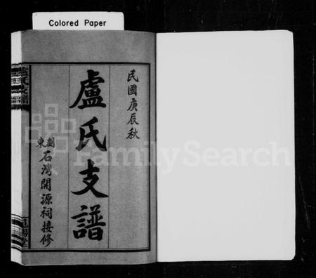 湖南卢氏族谱-卢氏支谱 [4卷].pdf电子版插图2