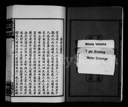 湖南卢氏族谱-卢氏支谱 [4卷].pdf电子版插图4