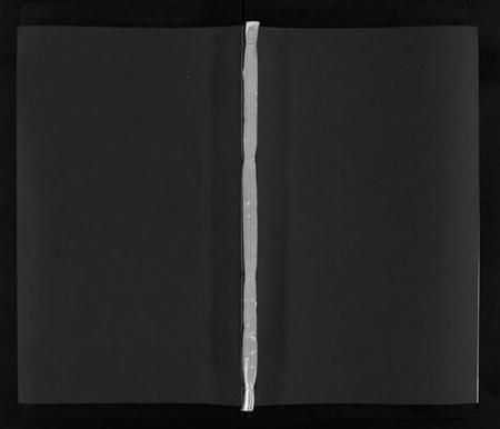 湖南卢氏族谱-卢氏续修族谱 [22卷,含首1卷].pdf电子版插图1