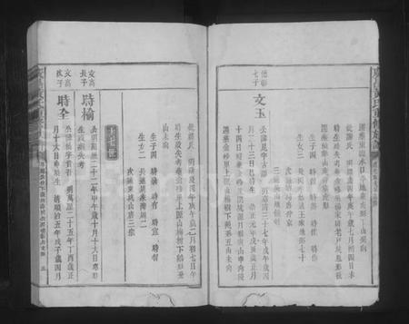 江西黄氏族谱-广昌黄氏重修族谱 [不分卷].pdf电子版插图5