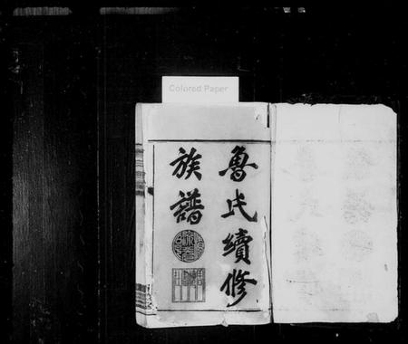 湖南鲁氏族谱-资阳鲁氏族谱 [16卷,首1卷].pdf电子版插图2