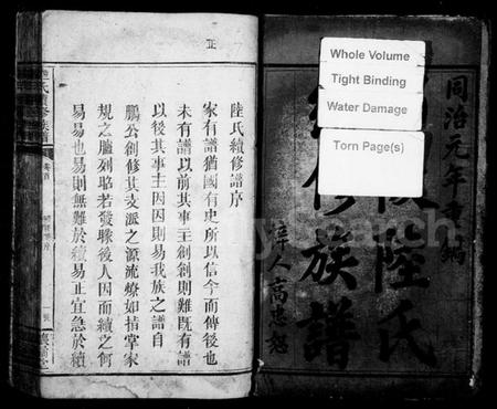 湖南陆氏族谱-陆氏续修族谱 [6卷,及卷首].pdf电子版插图3