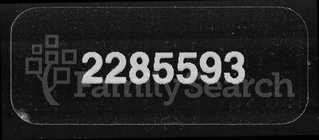 湖南罗氏族谱-上湘罗氏族谱 [42卷,首7卷,末1卷].pdf电子版