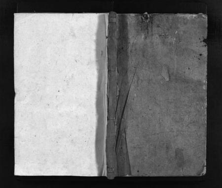 湖南罗氏族谱-彭城罗氏族谱 [16卷,首1卷].pdf电子版插图1