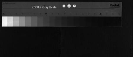 湖南罗氏族谱-漳湖岭罗氏家谱 [28卷].pdf电子版