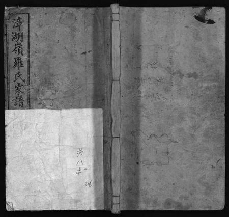 湖南罗氏族谱-漳湖岭罗氏家谱 [28卷].pdf电子版插图1