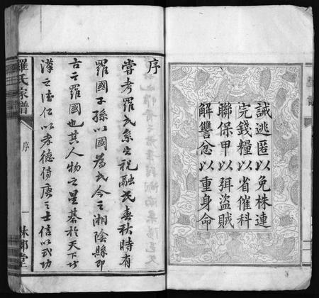 湖南罗氏族谱-漳湖岭罗氏家谱 [28卷].pdf电子版插图5