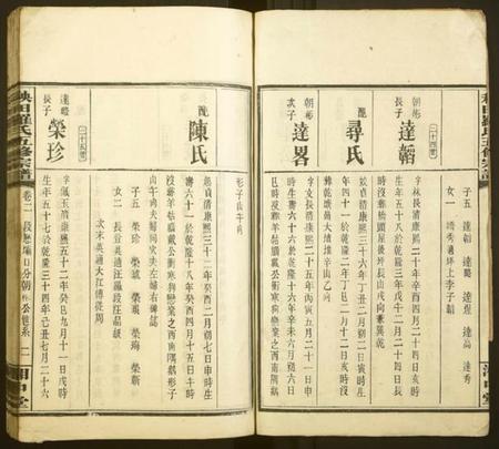 湖南罗氏族谱-秧田罗氏五修宗谱[27卷].pdf电子版插图2