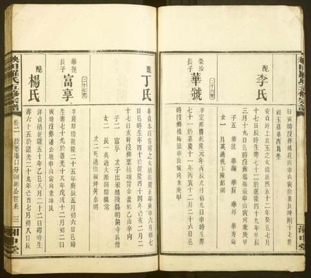 湖南罗氏族谱-秧田罗氏五修宗谱[27卷].pdf电子版插图3