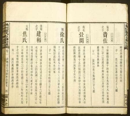 湖南罗氏族谱-秧田罗氏五修宗谱[27卷].pdf电子版插图4