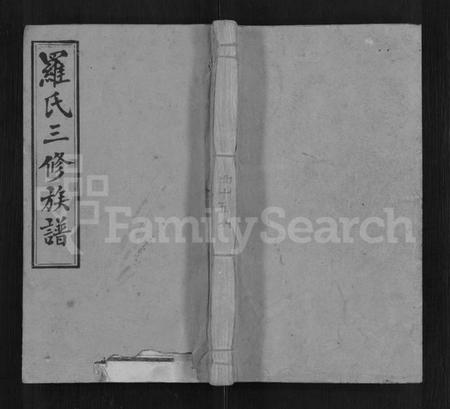 湖南罗氏族谱-罗氏三修族谱 [14卷,首2卷].pdf电子版