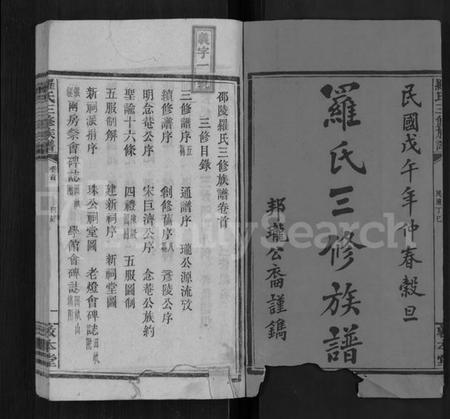 湖南罗氏族谱-罗氏三修族谱 [14卷,首2卷].pdf电子版插图1