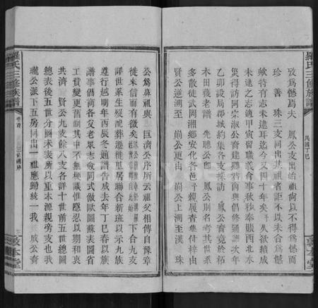 湖南罗氏族谱-罗氏三修族谱 [14卷,首2卷].pdf电子版插图5