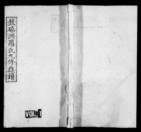 湖南罗氏族谱-罗氏九修族谱 [10卷,首末各1卷].pdf电子版插图1