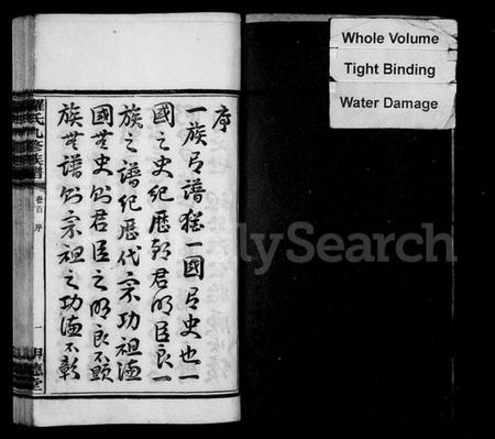 湖南罗氏族谱-罗氏九修族谱 [10卷,首末各1卷].pdf电子版插图3